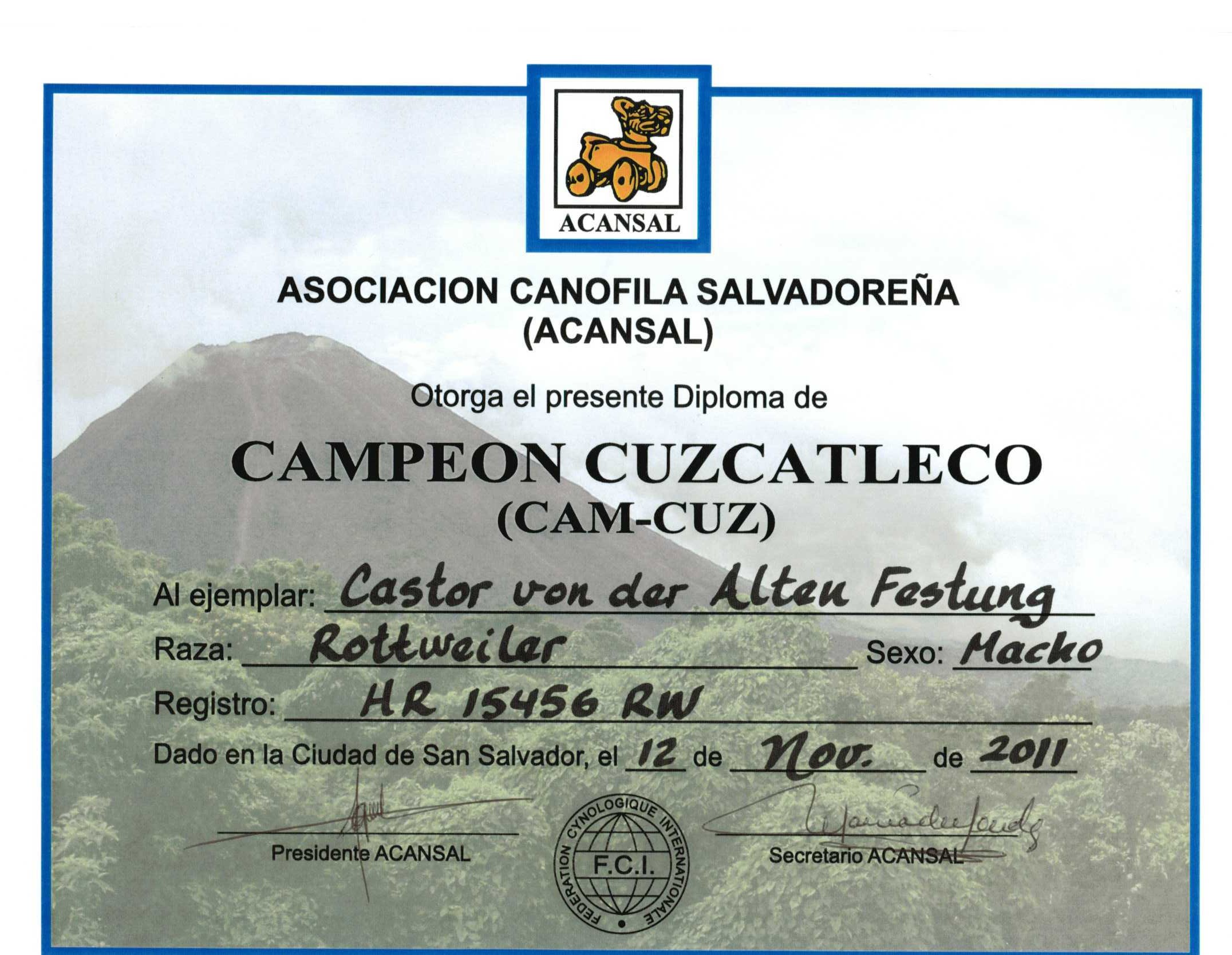 Castor Ch Cuzcatleco